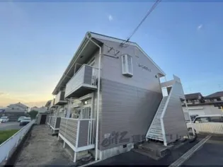 ムーンパディ1の画像