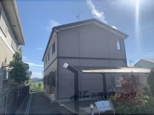 プリムローズAの画像