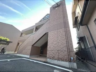 コスモス コートの画像