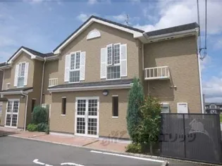 プラティーク Tの画像