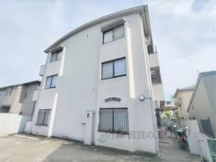 DOMEマツイの画像