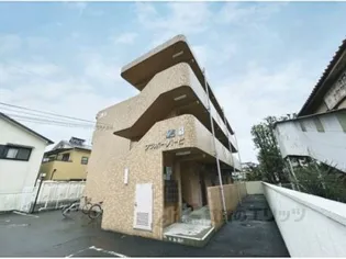 プラボーパーヒの画像