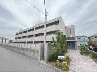 シュテレ70の画像