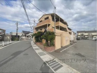 コートコスモの画像