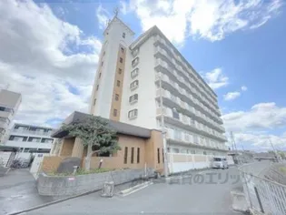 デュエリングナガトの画像