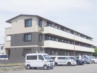 STELLAの画像