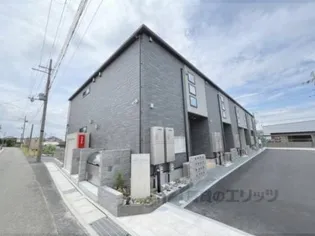 BELLE TORTUEの画像