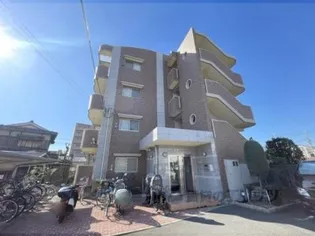 アプリコット こさかの画像