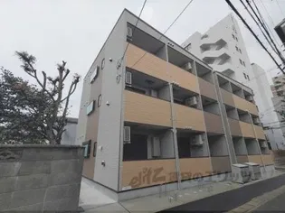 レア オハナ山科の画像