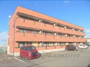 グレース パラシオンの画像