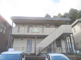 ハイム向日葵の画像