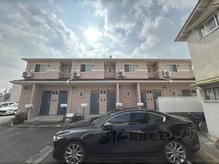 プリムローズの画像