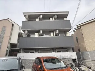 ディアンサス立花の画像