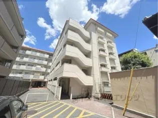 ジョイ嵯峨野の画像