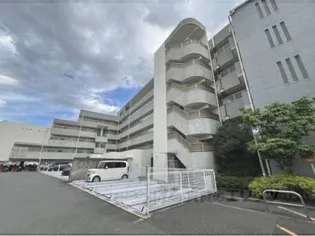 ひよどりの画像