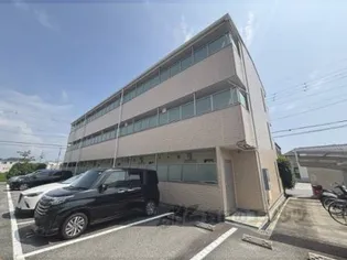 アンプルールフェールフリージアの画像