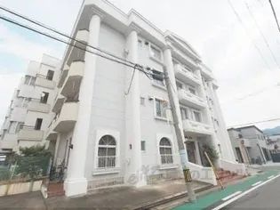 シャトー西村【207号室】の外観