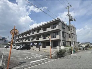 中野イングスの画像