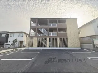 クレリアの画像