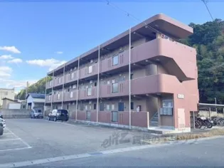 ソレイユ51の画像