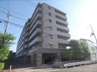 サーパス桂の画像