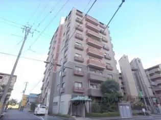 カスシア唐橋の画像