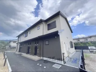 ルースプラトーの画像