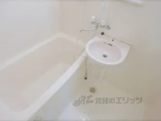 ライル八幡荘【101号室】の風呂