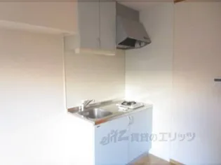 ミナミ大路ハイツ【A102号室】のキッチン