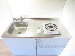 ミナミ大路ハイツ【A102号室】のキッチン