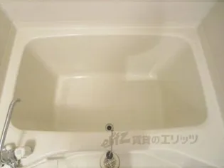 ミナミ大路ハイツ【A102号室】の風呂