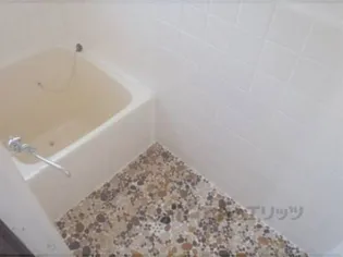 芝野荘【2階】の風呂