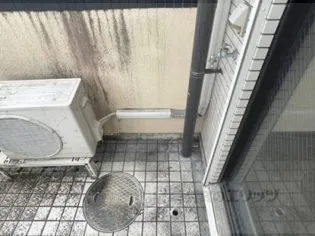 シティパレスあやめ池P7【B02号室】のその他画像