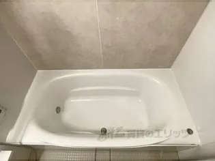 GOMON MOMOYAMA【S-102号室】の風呂