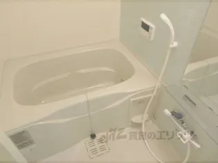 ベルヴィ石山【702号室】の風呂