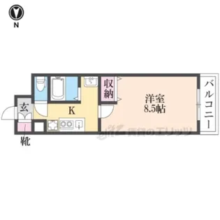 ラ・サンセリテ【203号室】の間取り