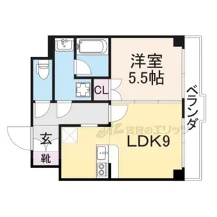 コリンノルド【4階】の間取り