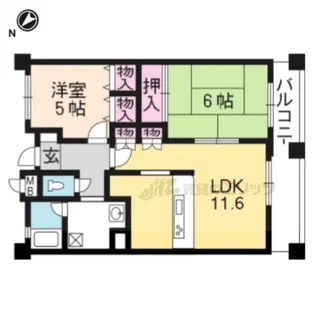 パインフィールド洛南【903号室】の間取り