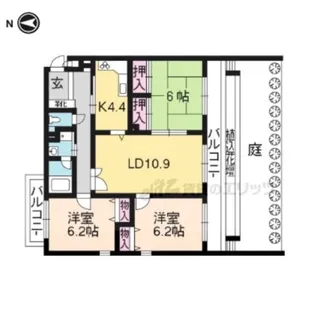 パインフィールド桂【101号室】の間取り