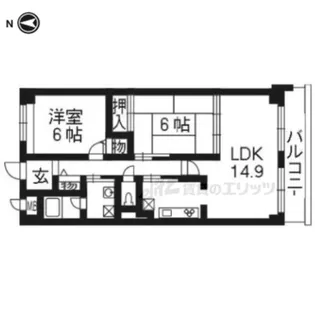 プロスペクト桂【502号室】の間取り
