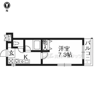 キャピタルシティ【203号室】の間取り