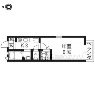 シティオ・クラーロ哲学の道【206号室】の間取り