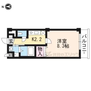 スプリングフォレスト【1階】の間取り