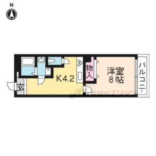 セレーナ白梅町【206号室】の間取り