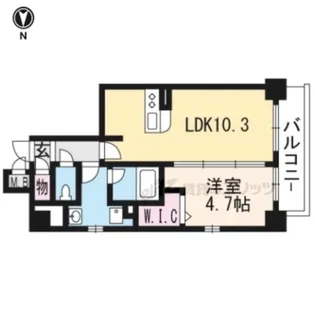 ドリーミオ東向日【501号室】の間取り