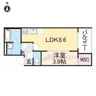 Lito【302号室】の間取り