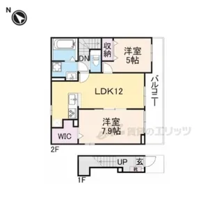 Riria ? ?【203号室】の間取り