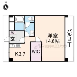 アルファコート【4階】の間取り