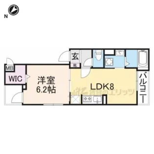 プラシード【202号室】の間取り