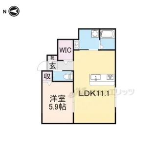 ウィズ大中?【101号室】の間取り